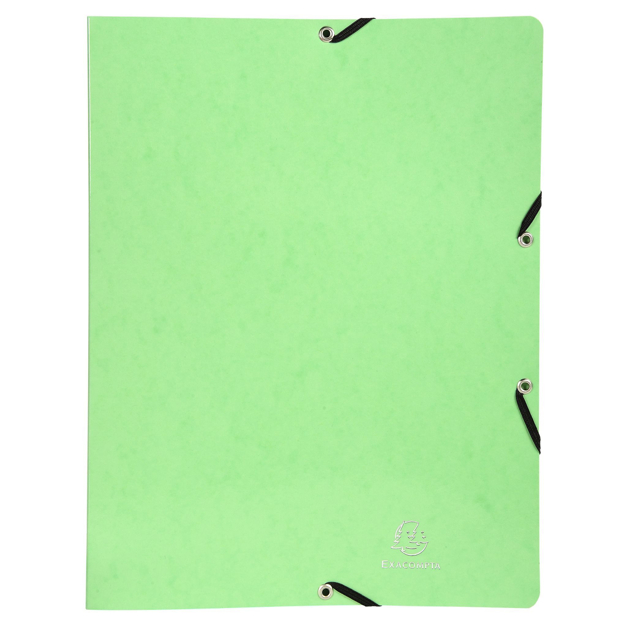 EXACOMPTA Ringbuchmappe Exacompta Ringbuch Iderama A4 2R 15mm anis