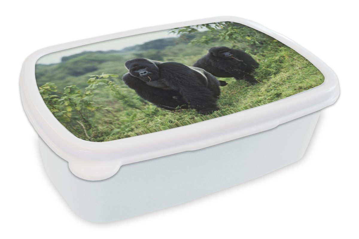 MuchoWow Lunchbox Zwei schwarz gefärbte Gorillas in einer grünen Umgebung, Kunststoff, (2-tlg), Brotbox für Kinder und Erwachsene, Brotdose, für Jungs und Mädchen weiß