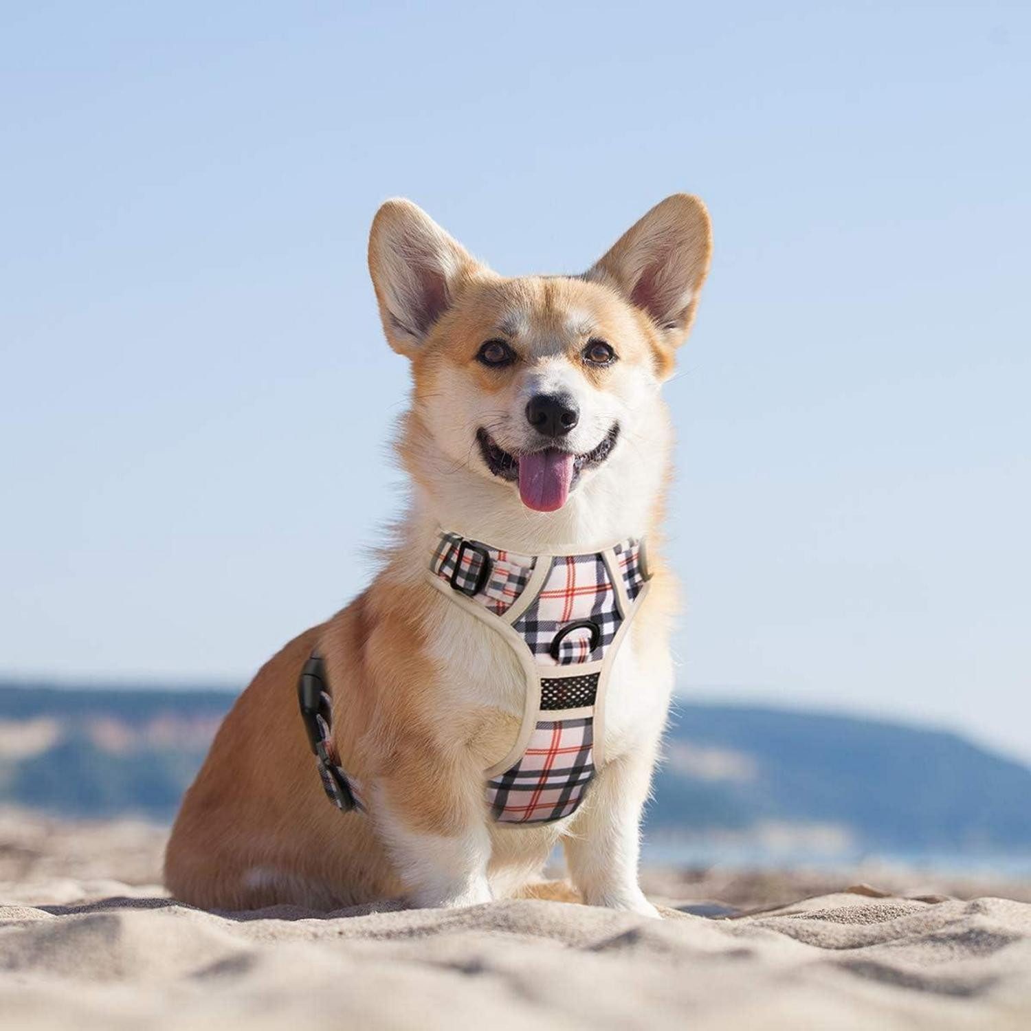LuxusKollektion Hunde-Geschirr Hundegeschirr Keine Pull Reflektierende Griff XL Kariertes Beige