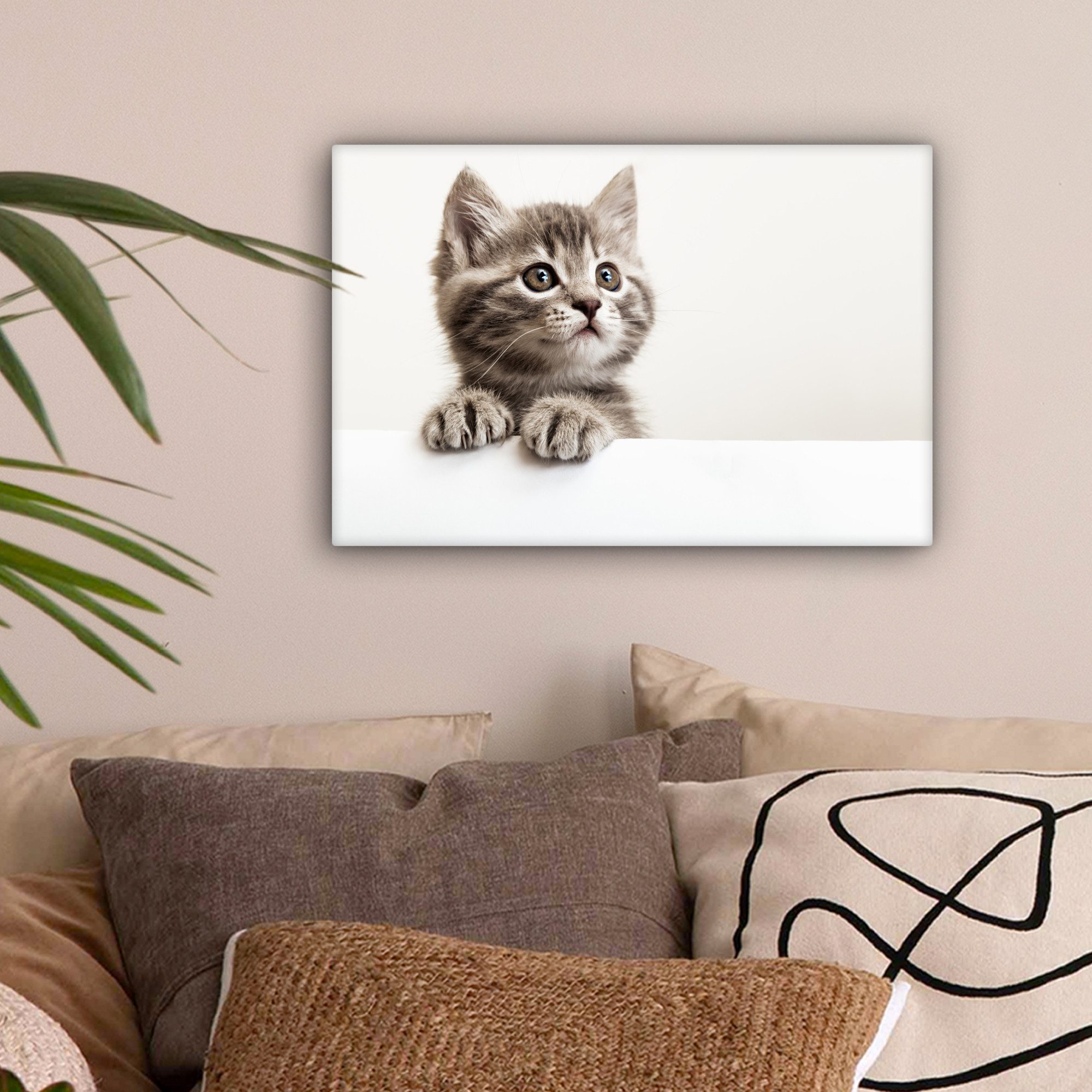 OneMillionCanvasses® Leinwandbild Katze - Grau - günstig online kaufen