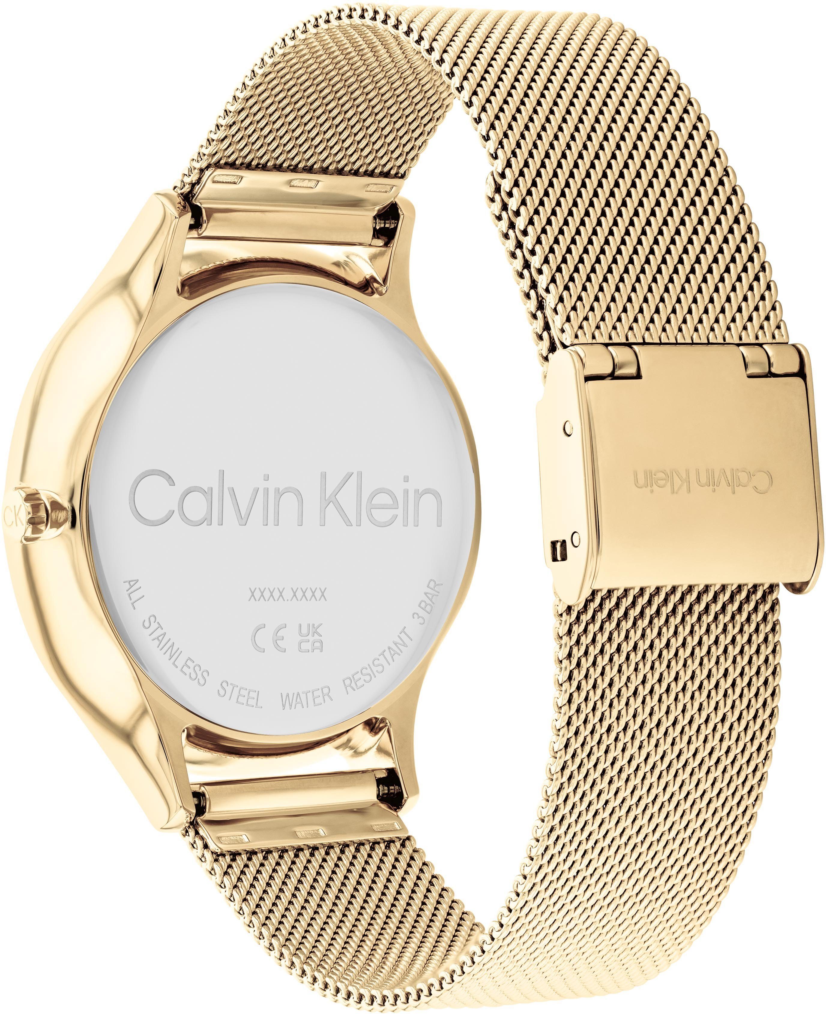 Multifunktionsuhr Timeless Calvin Klein Multifunction, 25200103