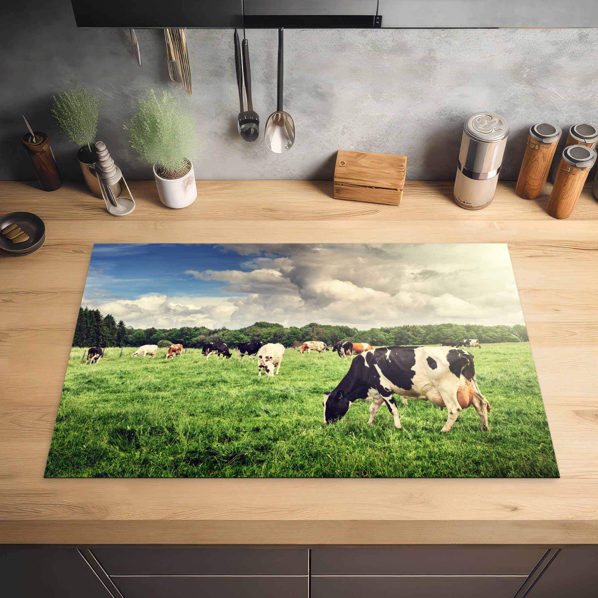 - - Tiere cm, Landschaft, Natur Kühe küche, Weide MuchoWow 81x52 - für tlg), (1 Schutz die Vinyl, Herdblende-/Abdeckplatte - Ceranfeldabdeckung Induktionskochfeld