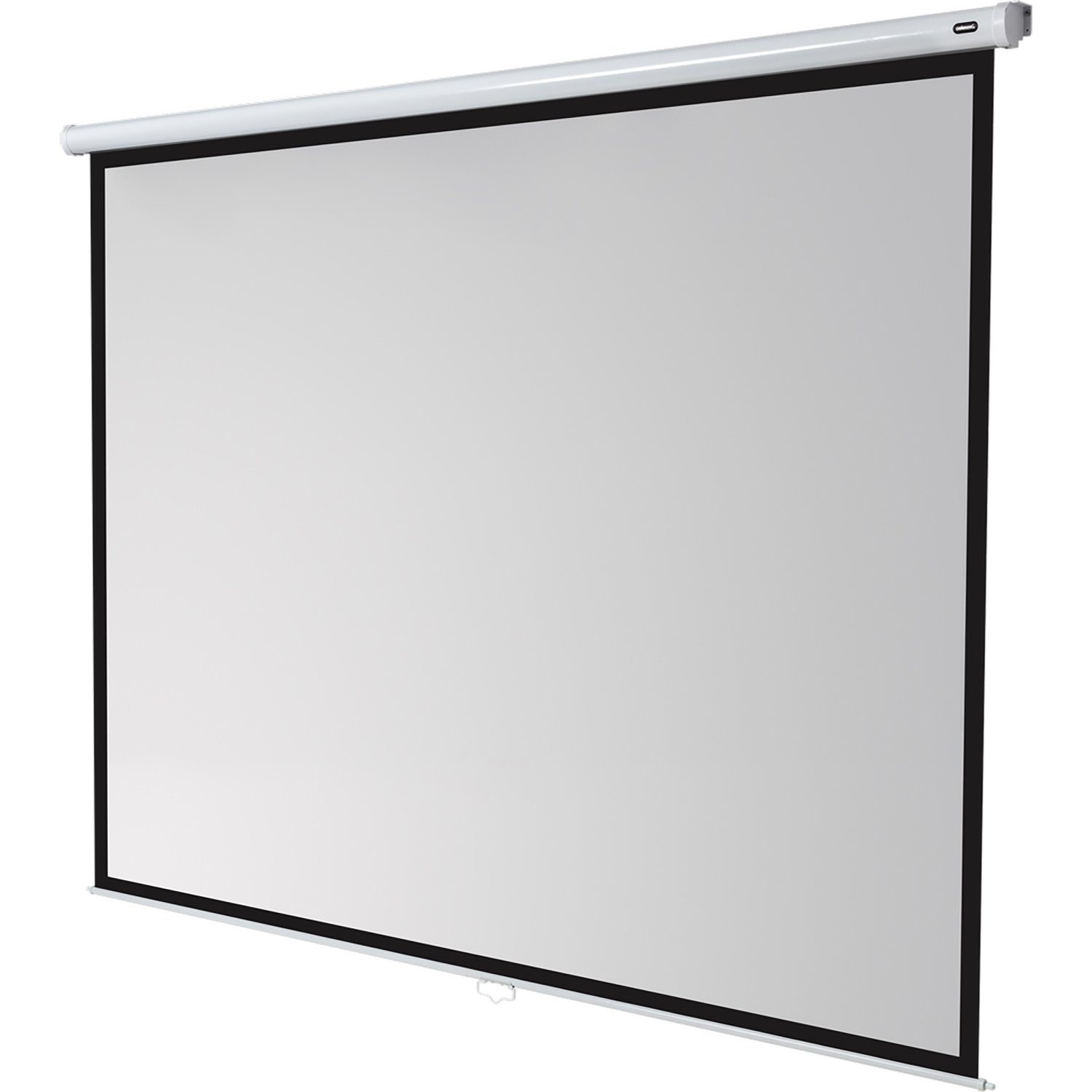 Celexon Economy Rolloleinwand (280 x 210cm, 4:3, Gain 1)