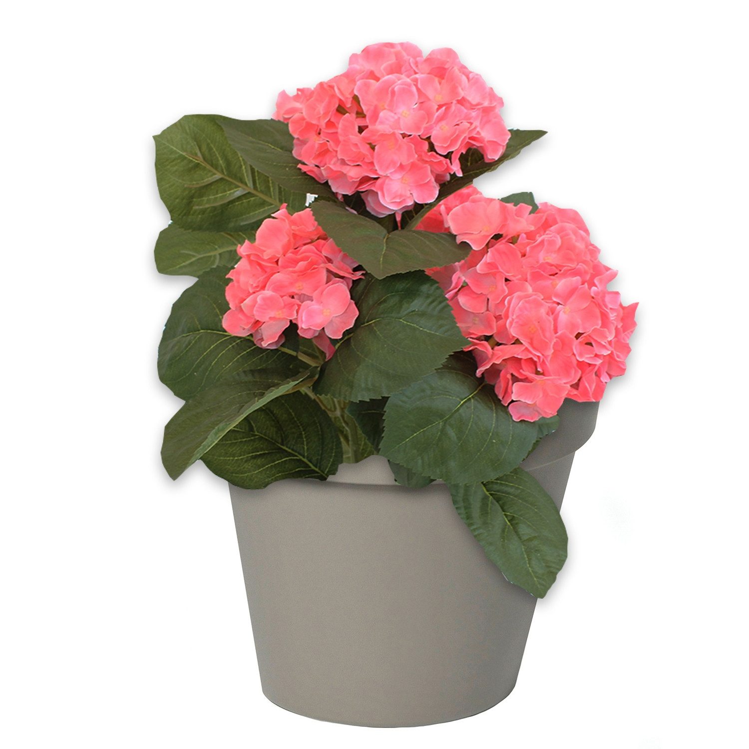 colourliving Pflanzkübel Wand Blumentopf RIO 28x20x23 günstig online kaufen