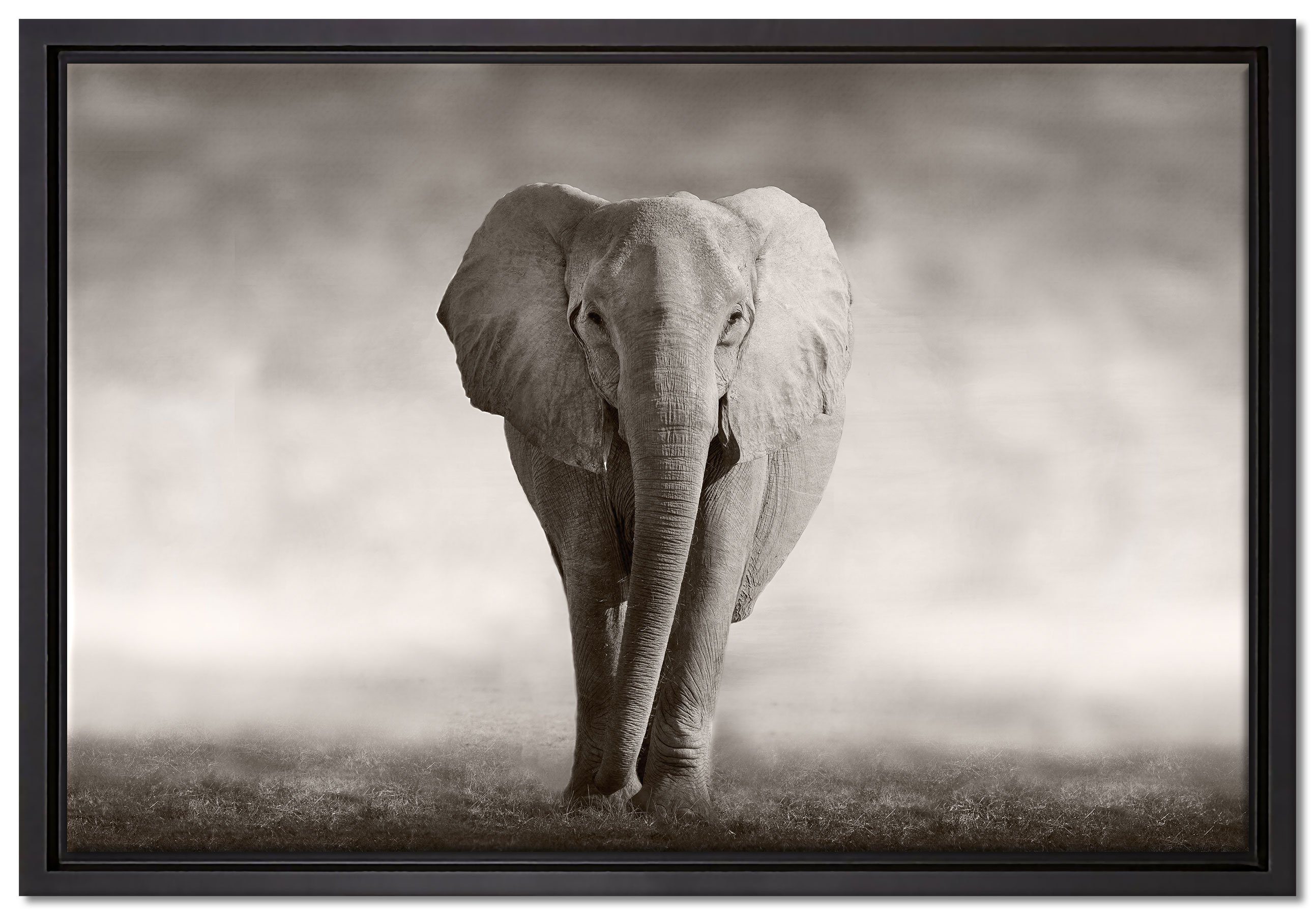 Wanddekoration Zackenaufhänger Pixxprint Elefant, St), inkl. in gefasst, (1 Schattenfugen-Bilderrahmen einem bespannt, Einsamer Leinwandbild Leinwandbild fertig