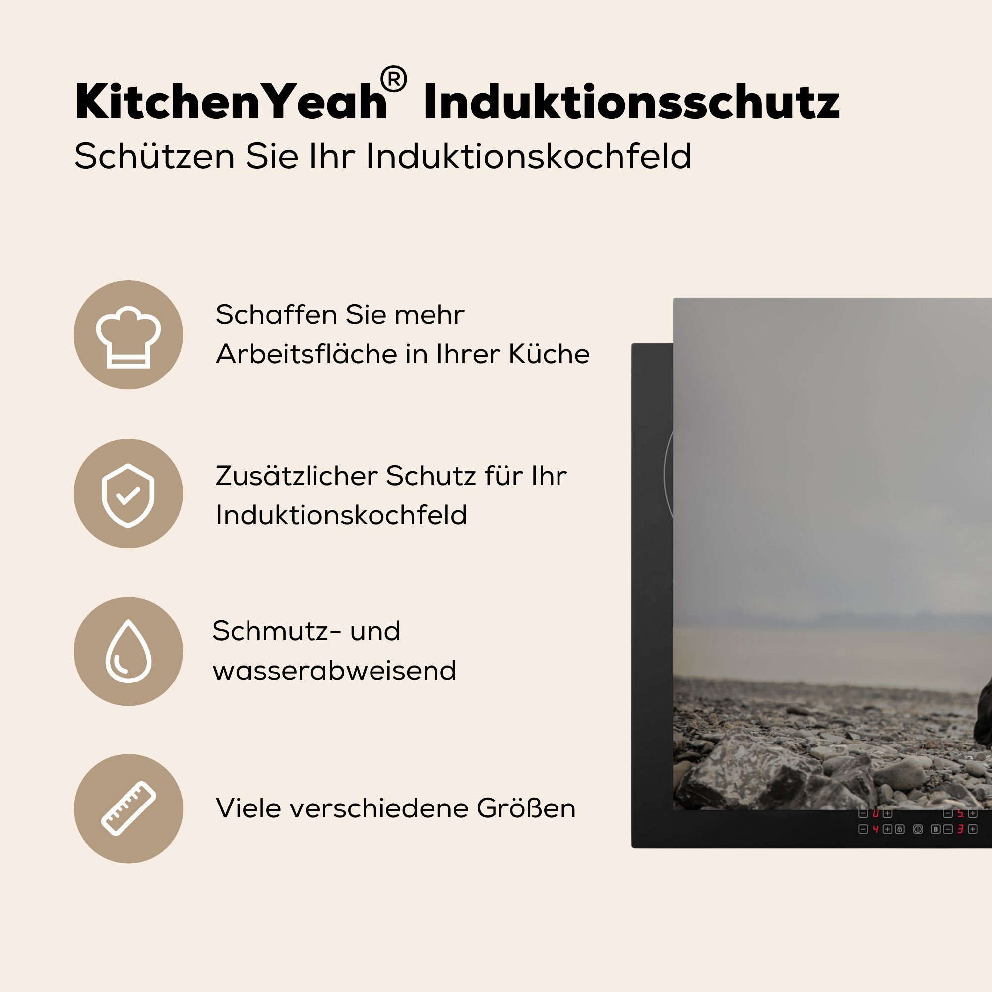 die für MuchoWow Induktionskochfeld Strand Schutz Hund cm, - Herdblende-/Abdeckplatte tlg), (1 Vinyl, Ceranfeldabdeckung 81x52 - Wolke, küche,
