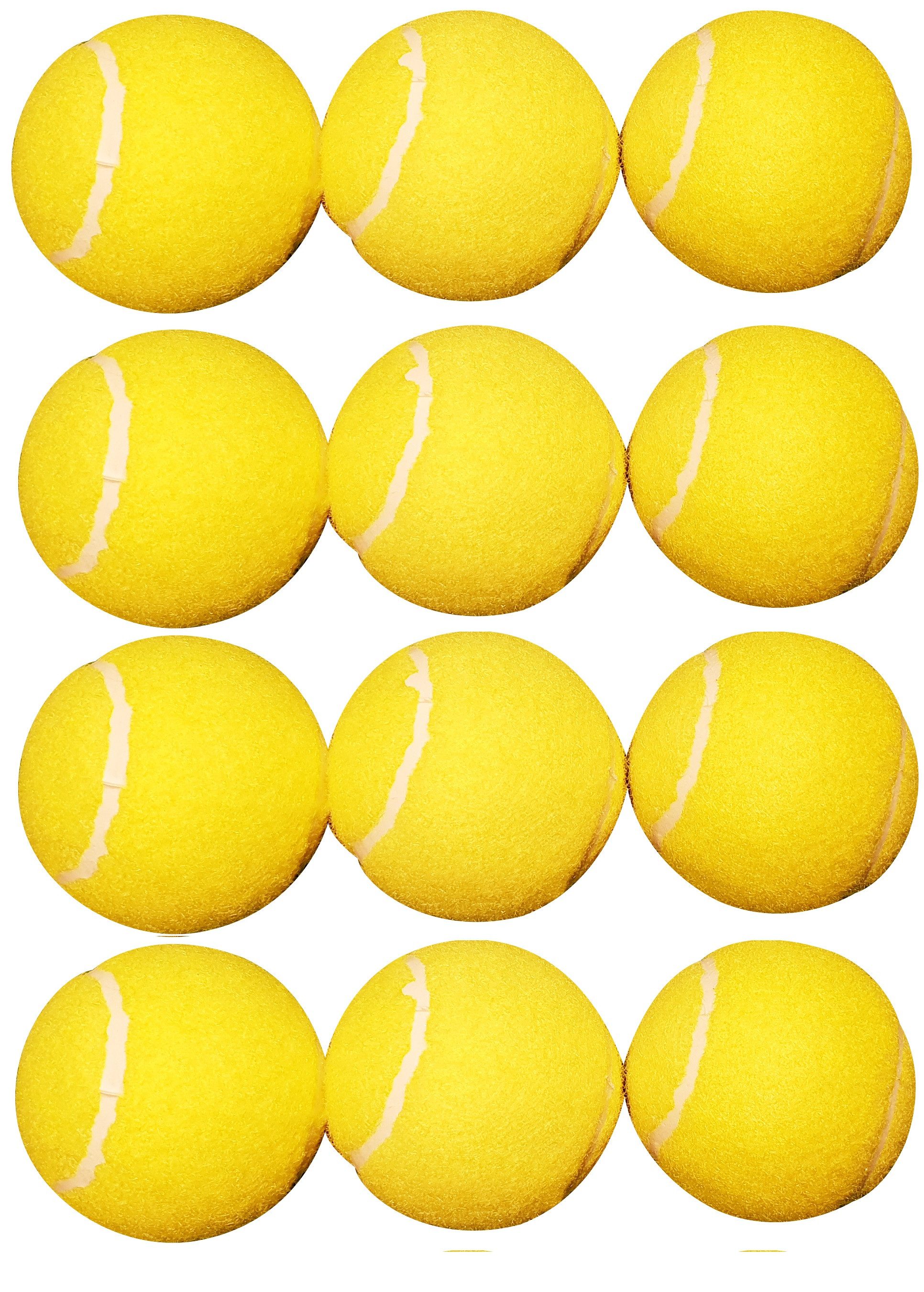 Charlsten Tennisball Charlsten Tennisbälle 12 Stück im Set