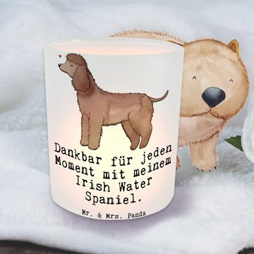 Mr. & Mrs. Panda Windlicht Irish Water Spaniel Moment - Transparent - Geschenk, Jagdhund, Hunder (1 St), Gemütlich