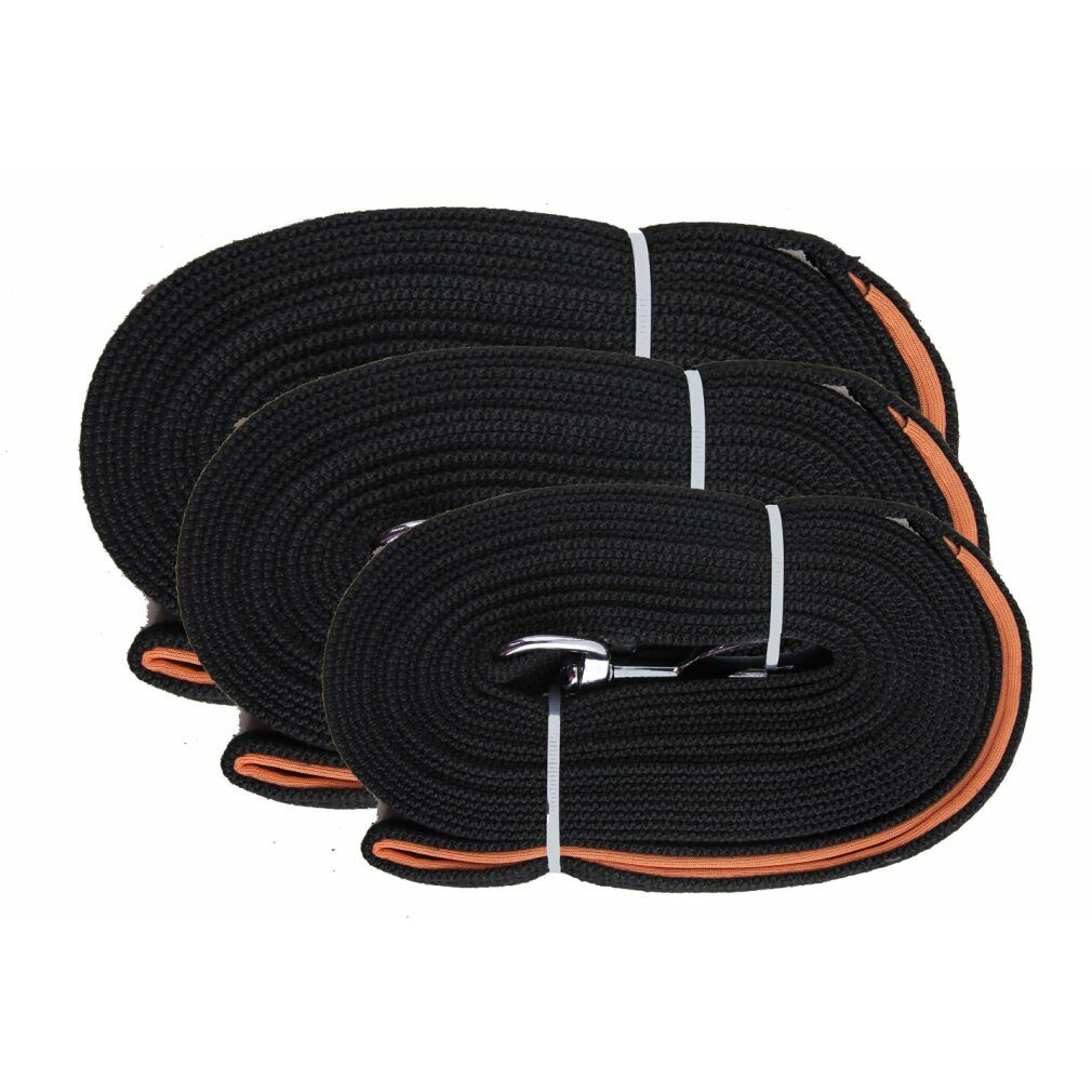 Pawise Hundeleine Flat Leash 5 meter, (Packung)
