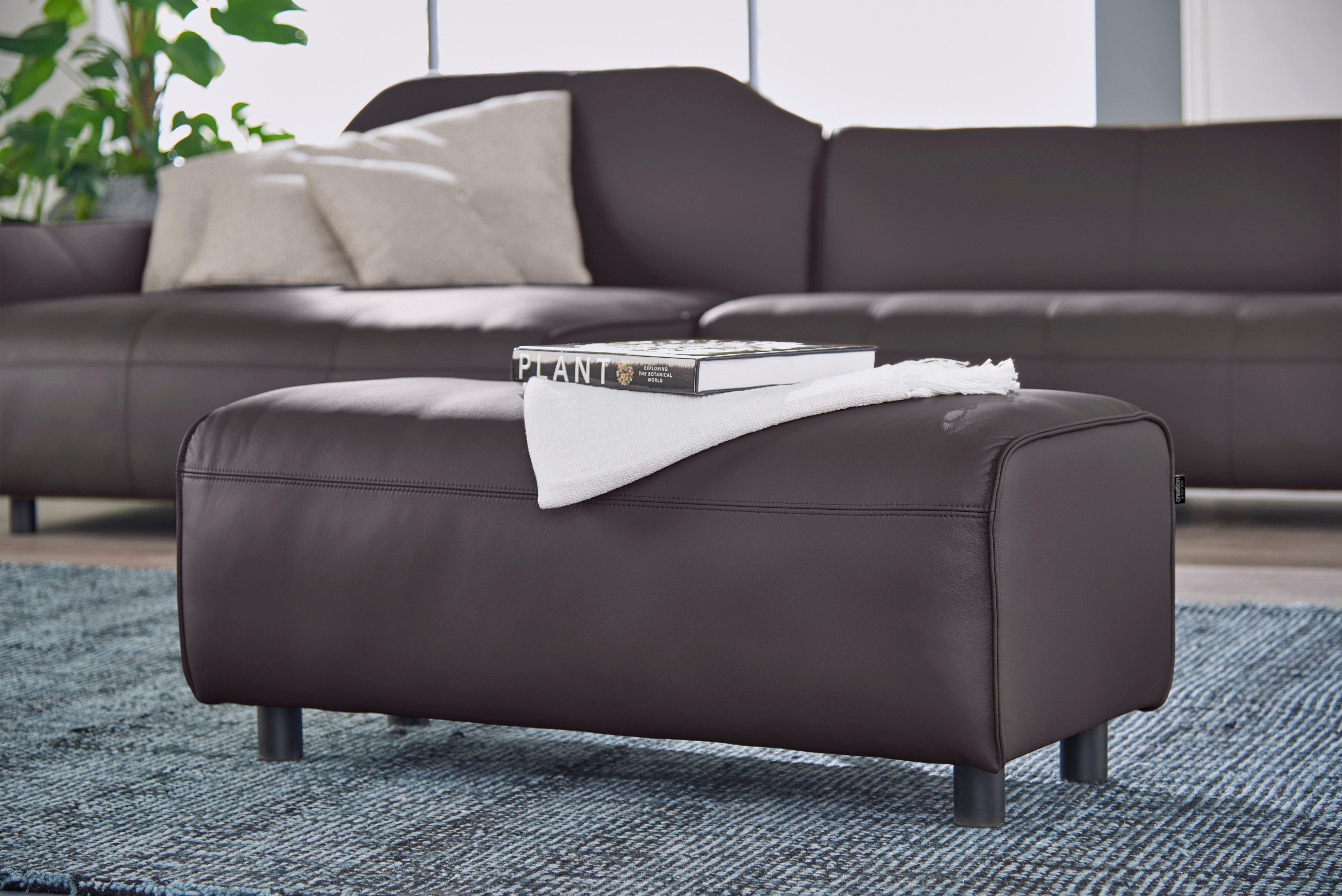 graubraun 534-49