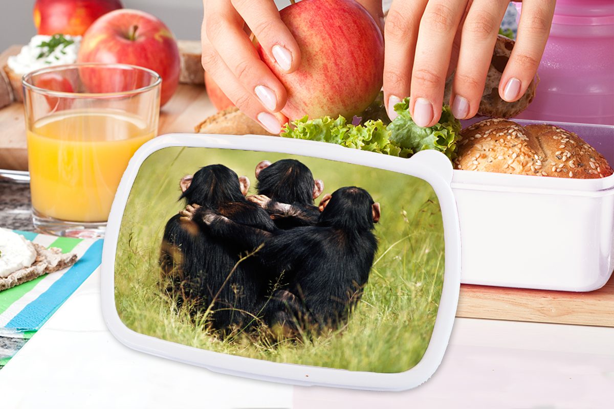 MuchoWow Lunchbox Affe Gras - Jungs Kinder Brotdose, Kunststoff, für Erwachsene, für Tiere, und - Mädchen und (2-tlg), Brotbox weiß