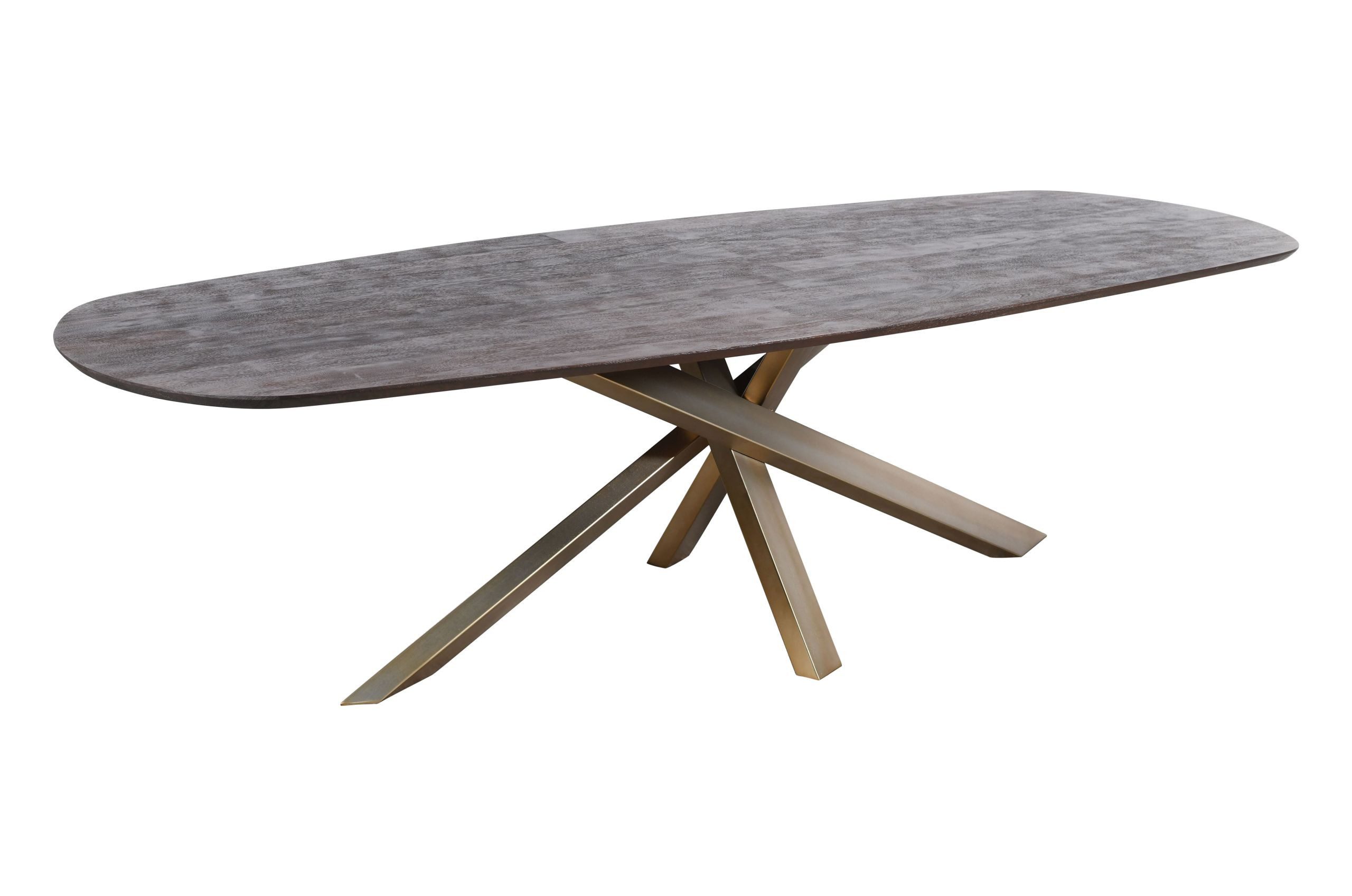 PTMD Esstisch Esstisch Industrial Alore Mangoholz Oval Gold Schokobraun 200