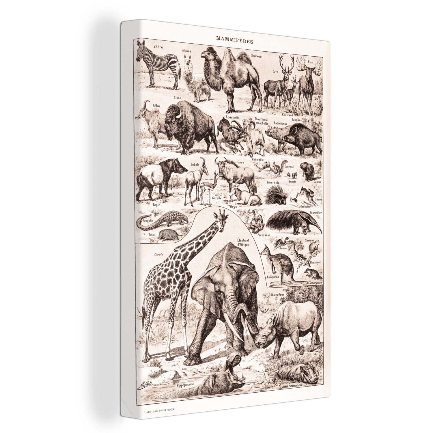 Tiere cm Elefant fertig Gemälde, - bespannt St), 20x30 Leinwandbild inkl. Leinwandbild OneMillionCanvasses® Schwarz - - Weiß, (1 Zackenaufhänger,