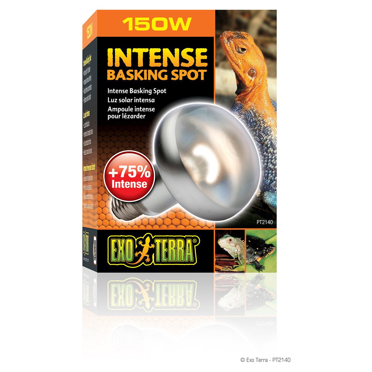 Exo Terra Terrarienleuchte Intense Basking Spot günstig online kaufen