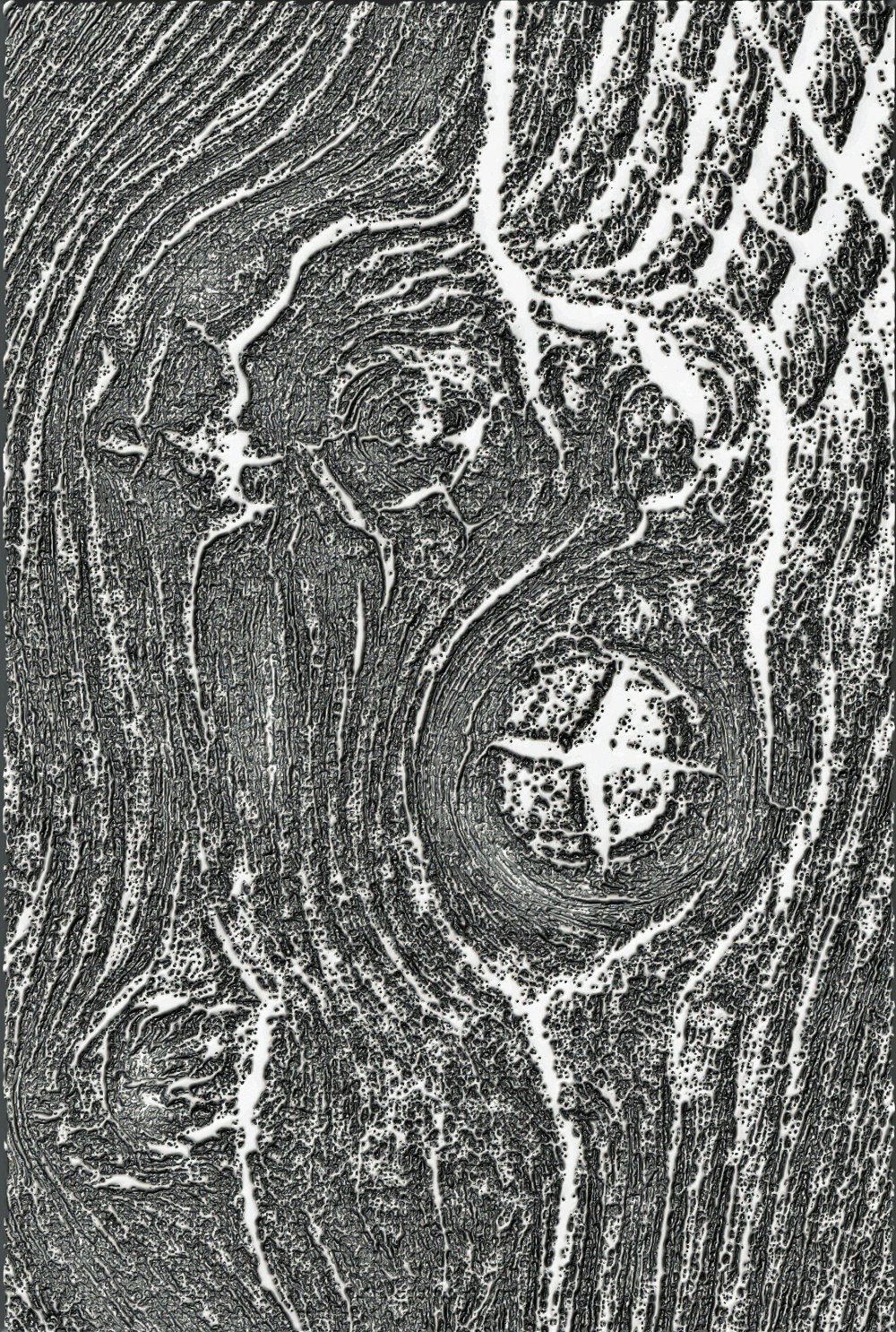 Sizzix Motivschablone Woodgrain by Tim Holtz, 10,8 cm x 15,8 cm