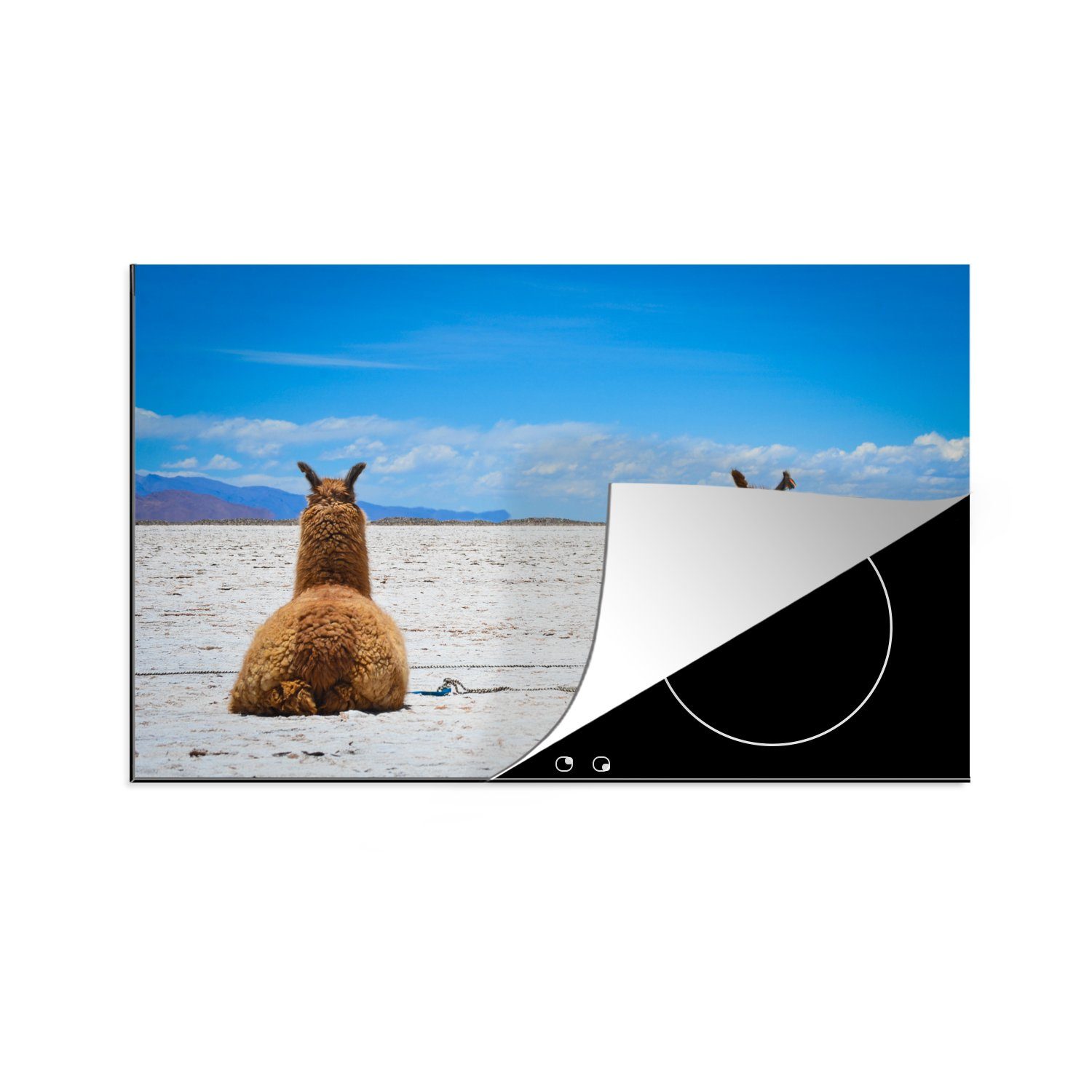 MuchoWow Herdblende-/Abdeckplatte Lama - Tiere - Sand, Vinyl, (1 tlg), 81x52 cm, Induktionskochfeld Schutz für die küche, Ceranfeldabdeckung