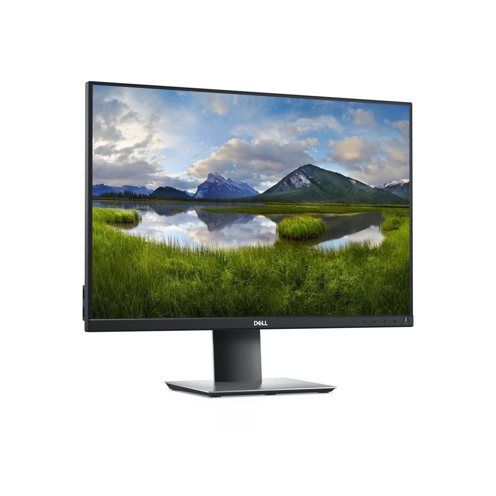 Dell TFT P2421 61cm IPS WUXGA 24/1920x1200/DP/HDMI/VGA/ TFT-Monitor (1920 x 1200 px, WUXGA, 8 ms Reaktionszeit, 60 Hz, IPS, Pivot, Höhenverstellbar)