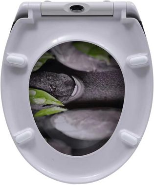 Yelcona WC-Sitz Abnehmbar mit Absenkautomatik schnellverschluss Toilettendeckel Steine