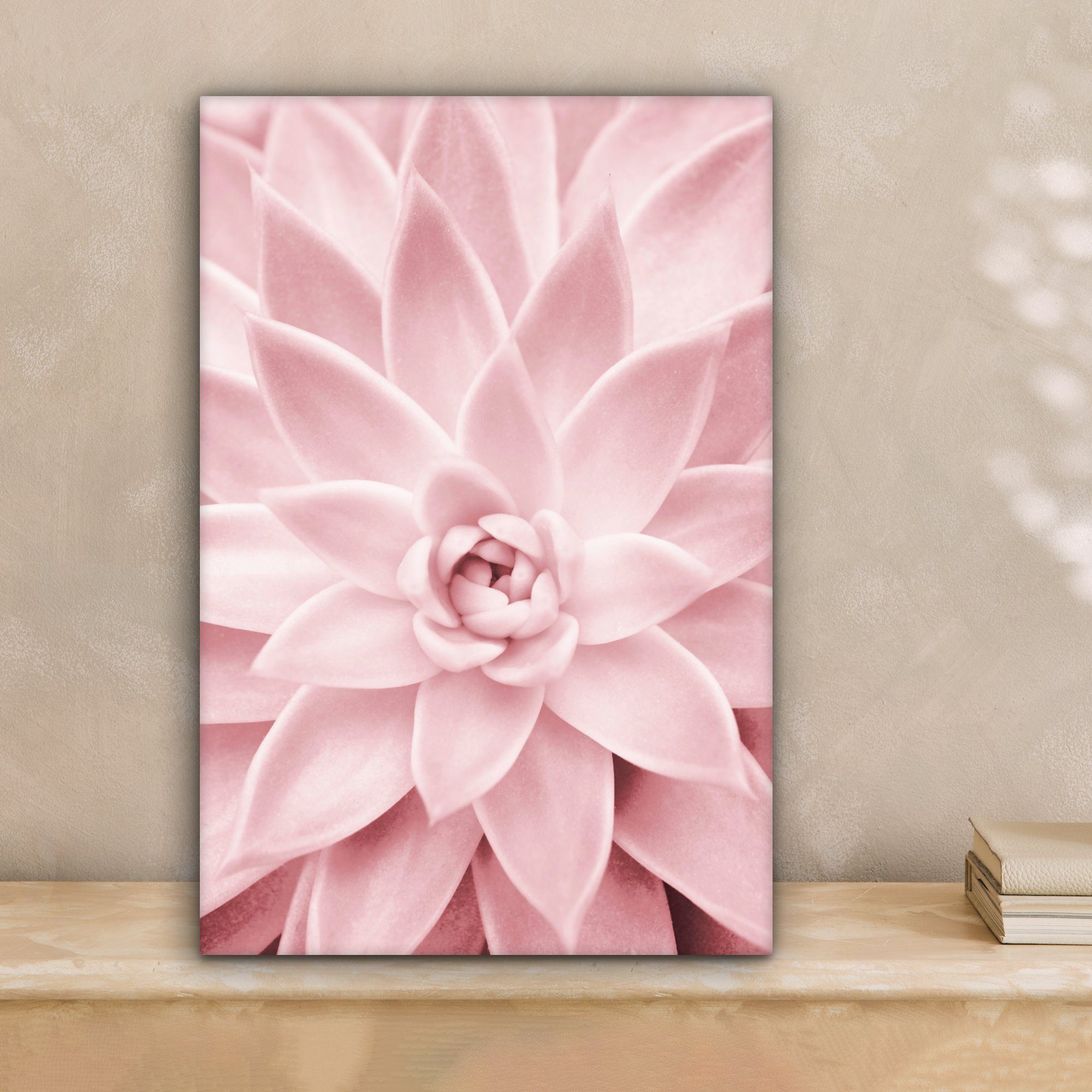 OneMillionCanvasses® Leinwandbild Blume - Rosa - Natur - Pflanze, Fotodruck günstig online kaufen