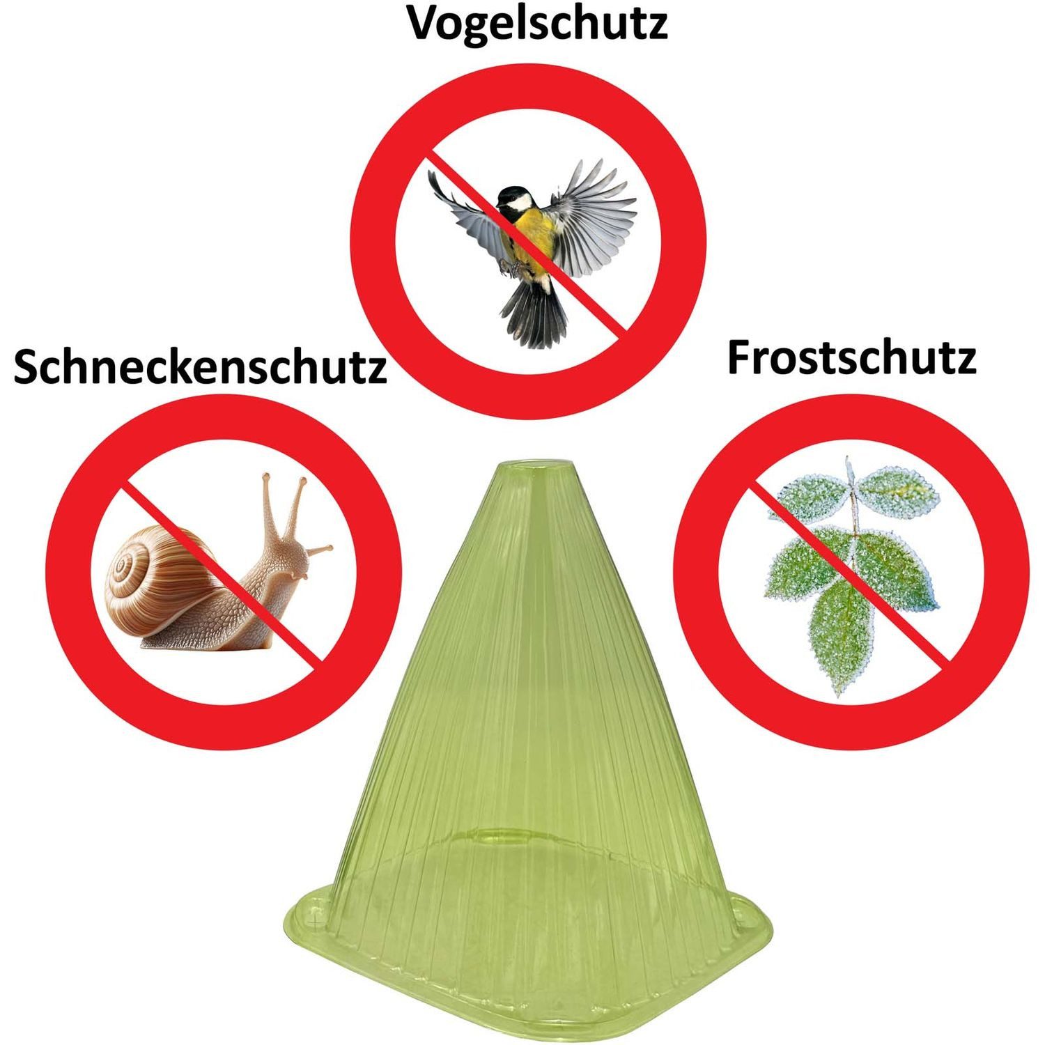 Pflanzenschutzdach Pflanzenhut 160er Set Pflanzenhütchen Pflanzhaube Pflanzglocke grün