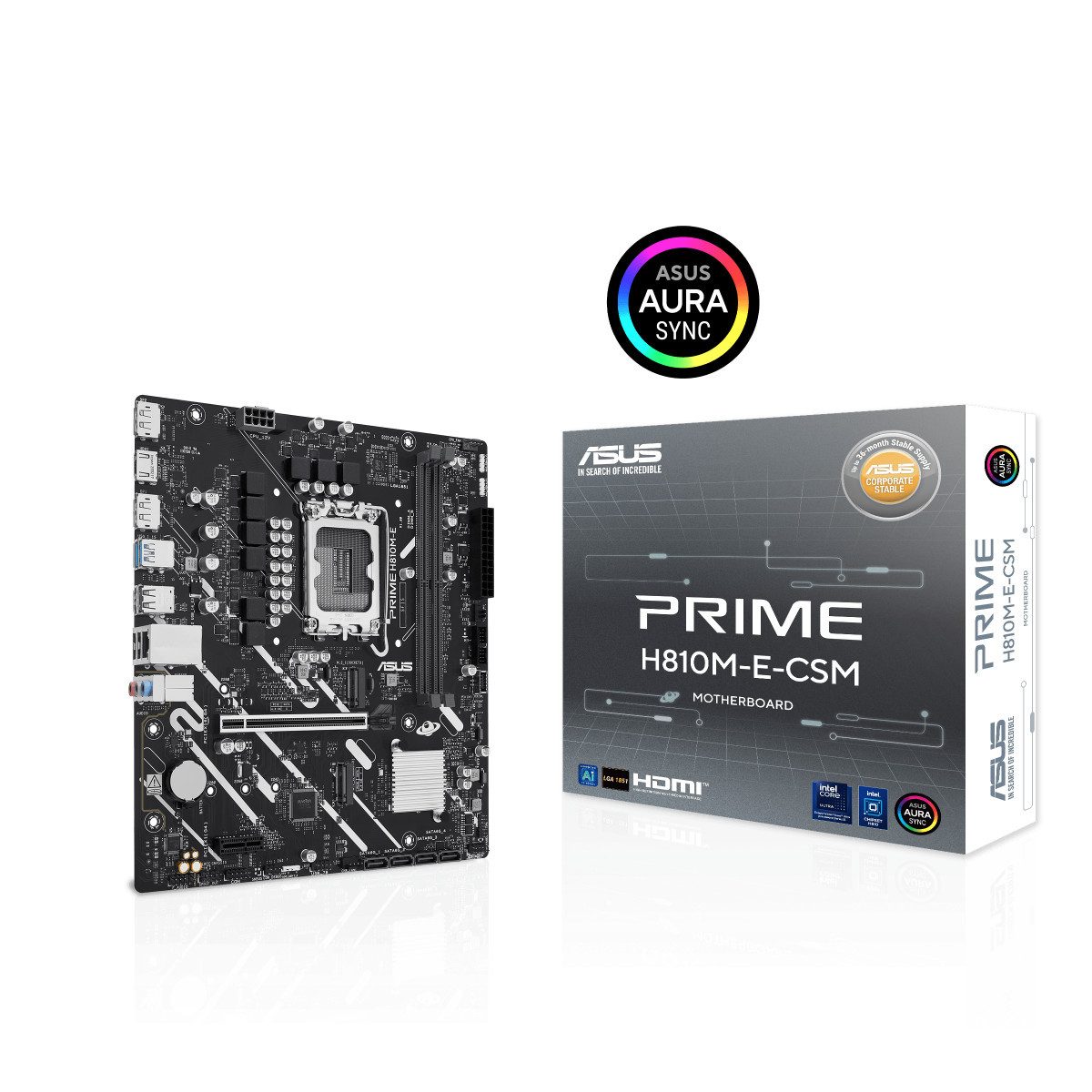 Asus PRIME H810M-E-CSM Mainboard