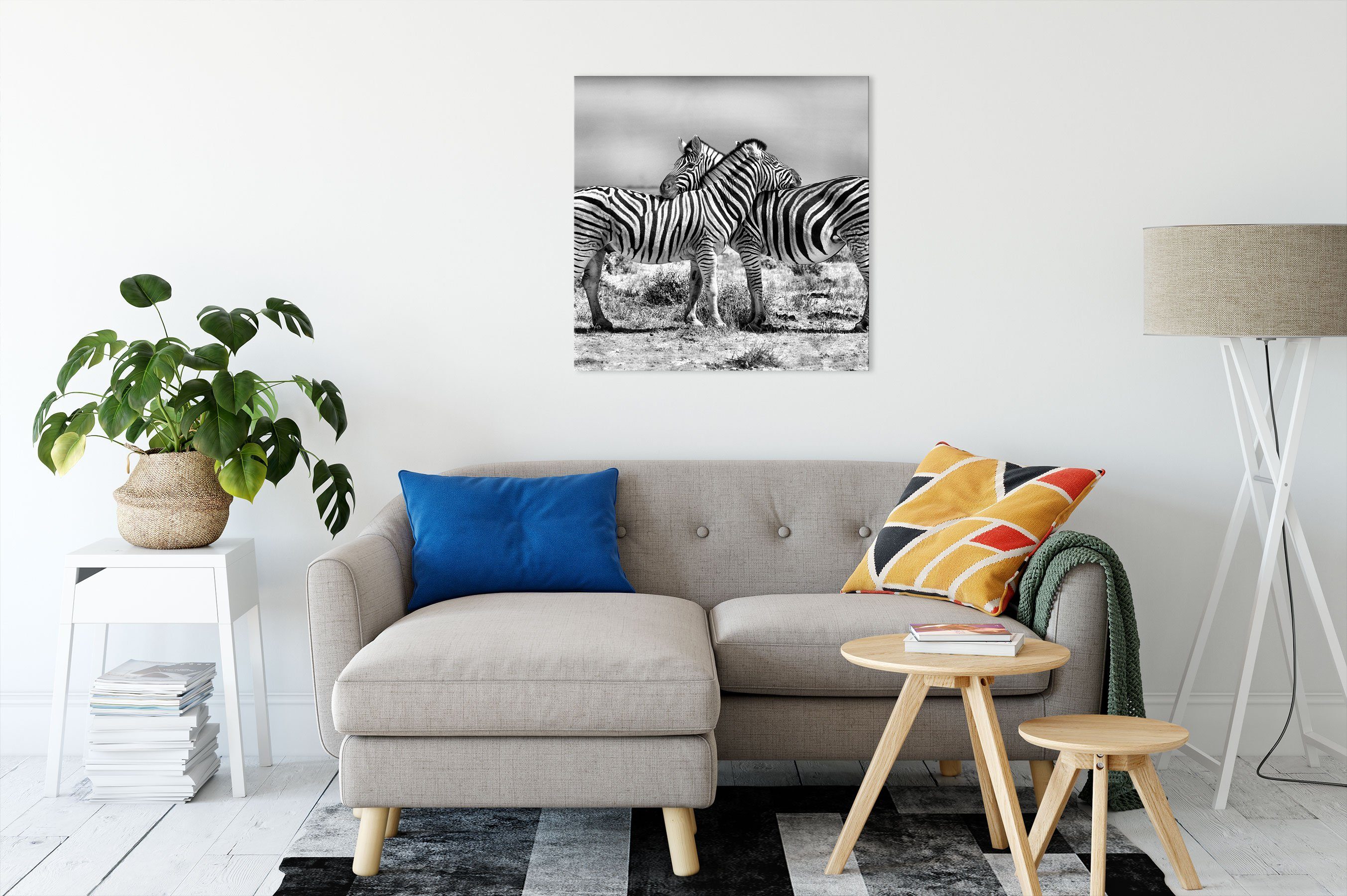 Leinwandbild Schmusende Schmusende (1 Pixxprint Leinwandbild St), bespannt, inkl. fertig Zebras Zackenaufhänger Zebras,