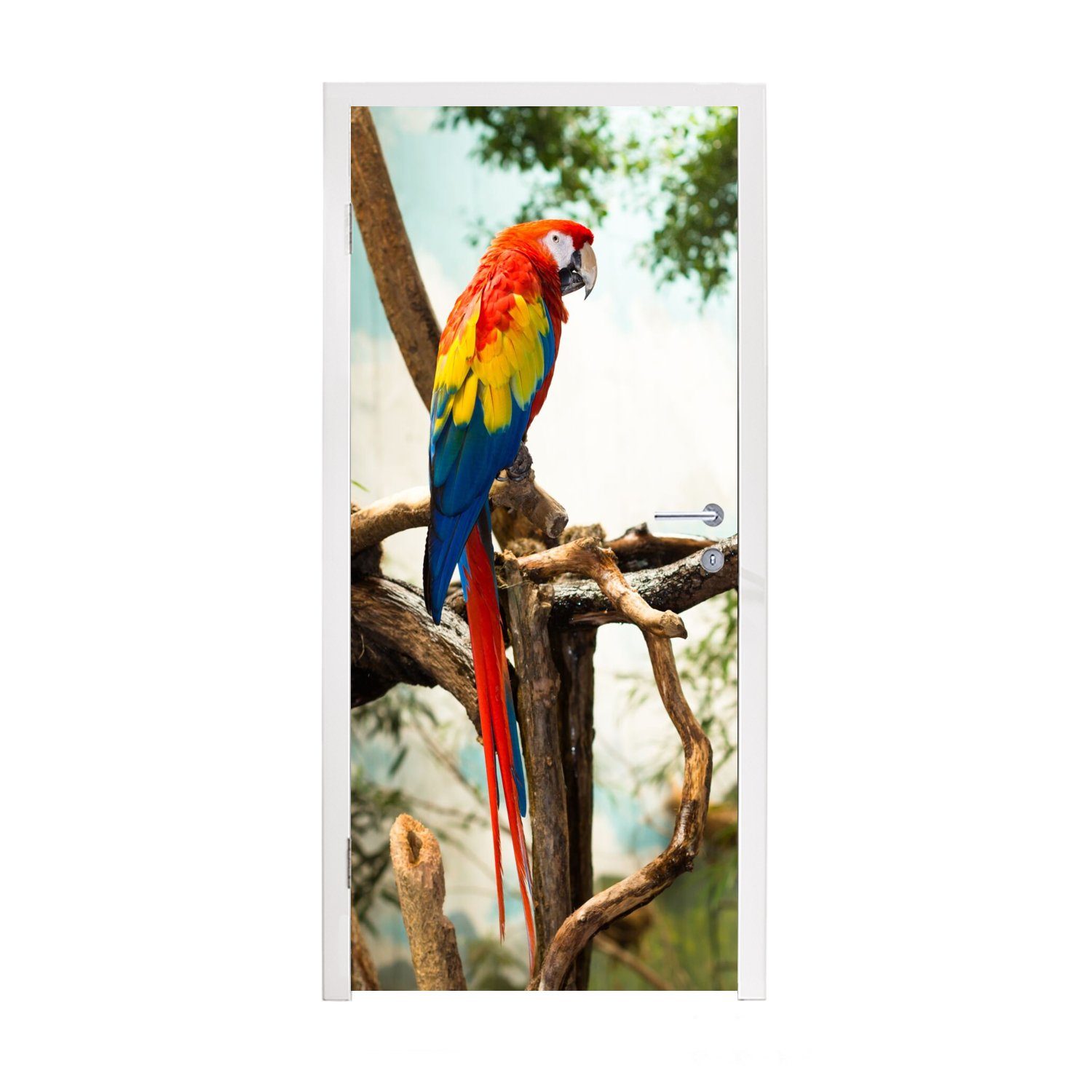 MuchoWow Türtapete Papagei - Vogel - Regenbogen - Tropisch, Matt, bedruckt, (1 St), Fototapete für Tür, Türaufkleber, 75x205 cm