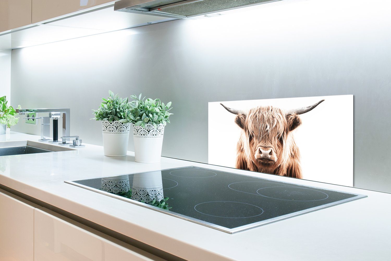 MuchoWow Küchenrückwand für - (1-tlg), Küchen und Schottischer gegen Wandschutz, cm, Fett - Kuh Highlander Tiere, Schmutzflecken 60x30