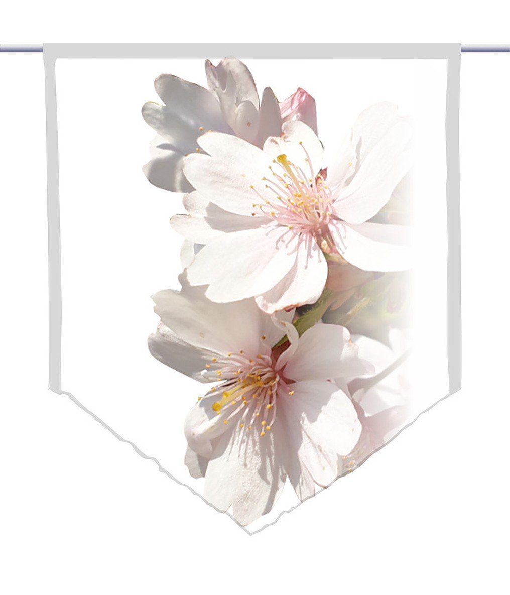 gardinen-for-life Scheibengardine Scheibenhänger spitz Mandeltraum, Voile günstig online kaufen