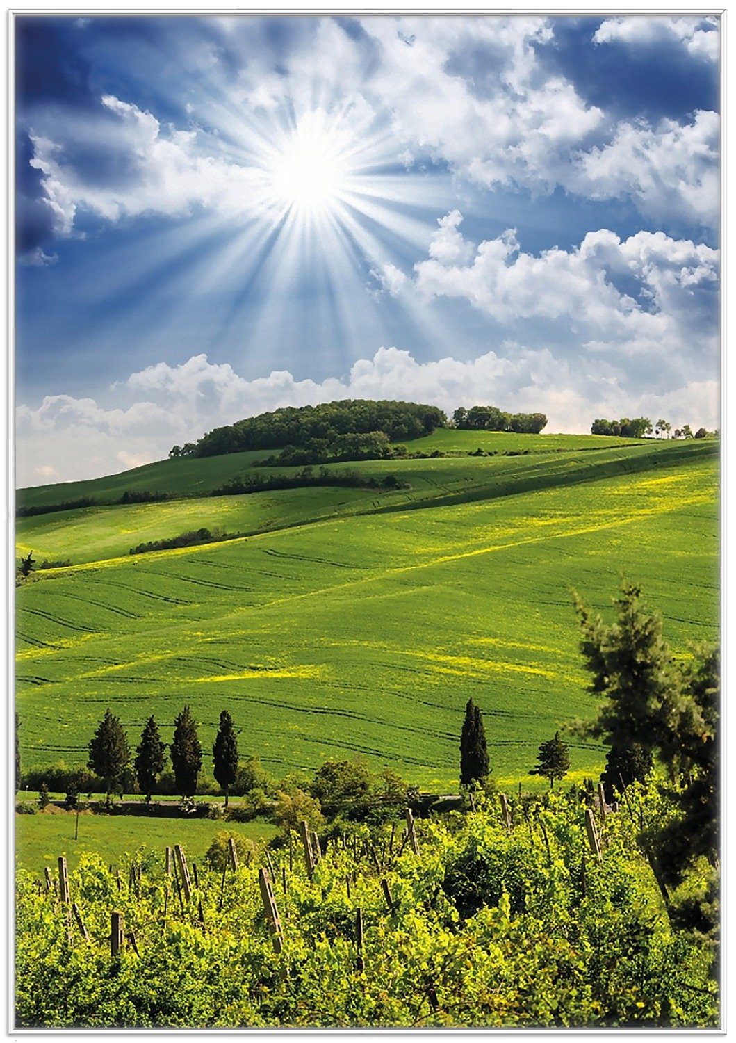 Wallario Poster, Strahlender Sonnenschein, in verschiedenen günstig online kaufen