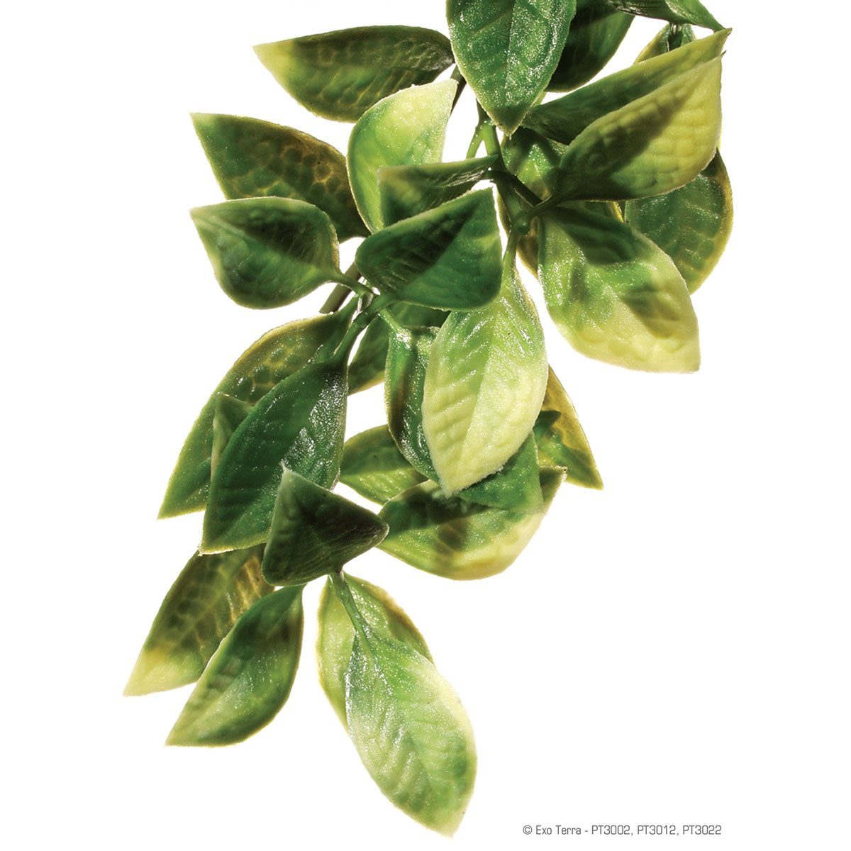 Exo Terra Terrariendeko Terrarien-Pflanze Amapallo