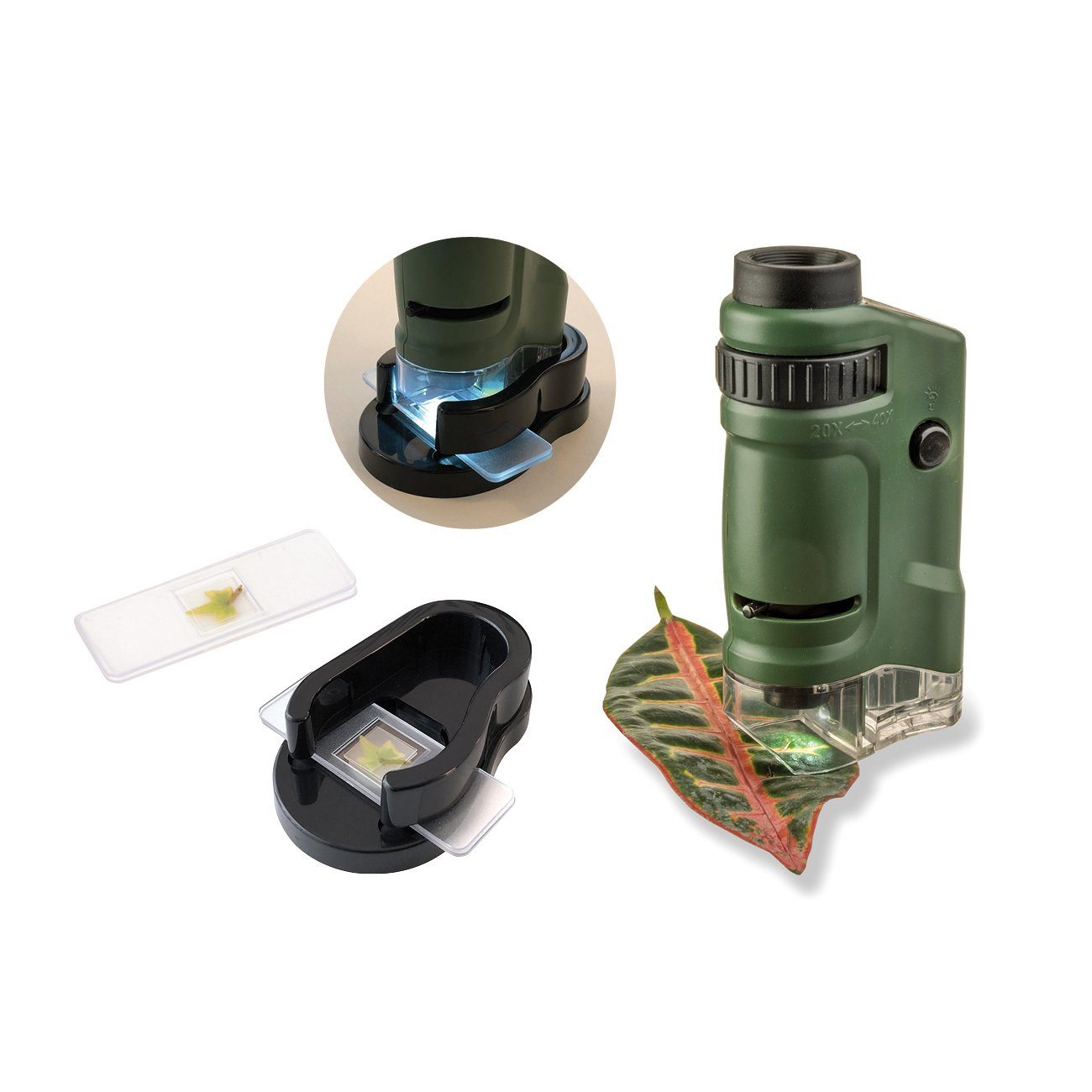 Taschenmikroskop Spielzeug-Gartenset EDUPLAY LED-Beleuchtung mit