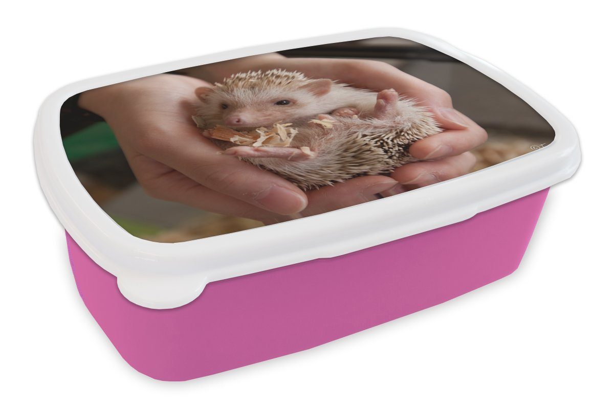 Kunststoff, den MuchoWow Kunststoff Brotbox Mädchen, Igel Brotdose Erwachsene, Kleiner Händen, in Kinder, (2-tlg), Lunchbox rosa für Snackbox,