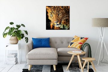 Pixxprint Leinwandbild Anmutiger Leopard, Anmutiger Leopard (1 St), Leinwandbild fertig bespannt, inkl. Zackenaufhänger