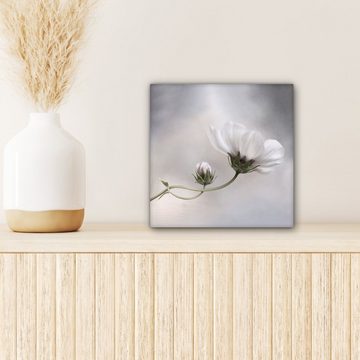 OneMillionCanvasses® Leinwandbild Blumen - Stillleben - Natur - Grau, (1 St), Leinwand Bilder für Wohnzimmer Schlafzimmer, 20x20 cm
