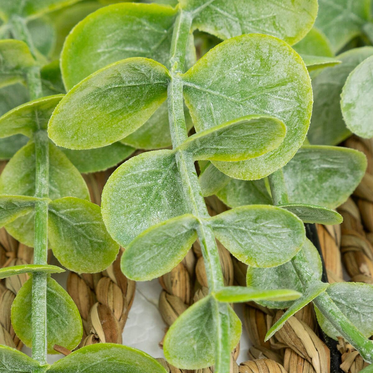 Kunstpflanze Zimmerpflanze, Atmosphera Créateur d'intérieur, Höhe 26 cm günstig online kaufen