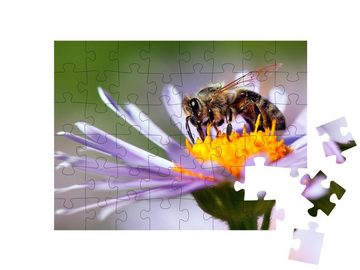 puzzleYOU Puzzle Detailaufnahme: Honigbiene auf einer Blüte, 48 Puzzleteile, puzzleYOU-Kollektionen Bienen