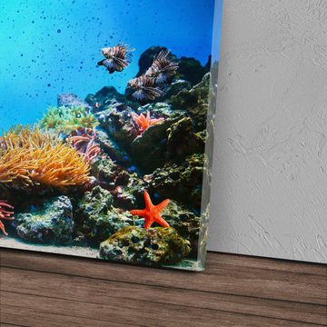 Sinus Art Leinwandbild 120x80cm Wandbild auf Leinwand Korallenriff Korallen unter Wasser Foto, (1 St)