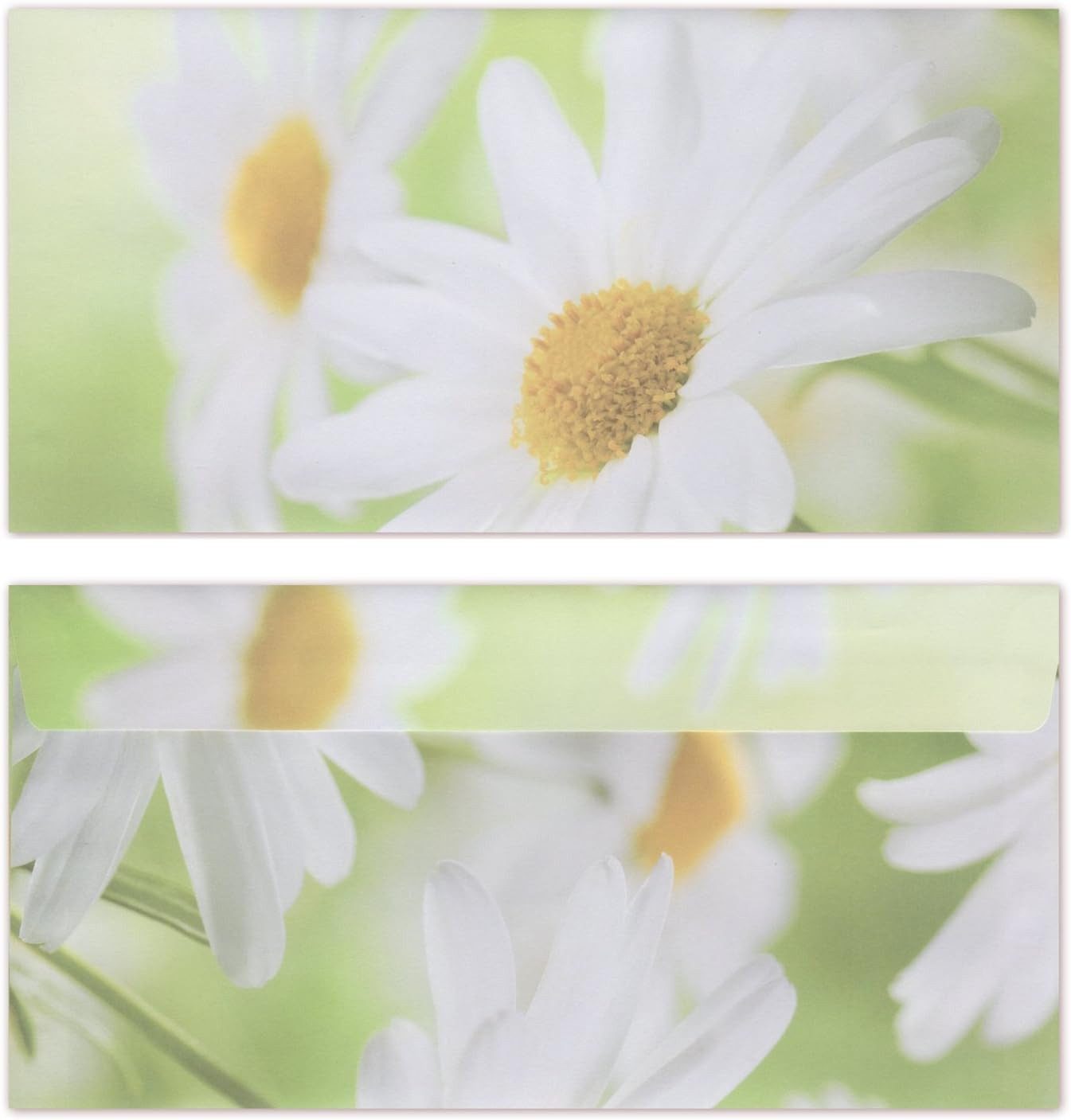 Briefpapier Motivpapier + Briefumschlag Motiv-Wiese mit Margeriten (5031)