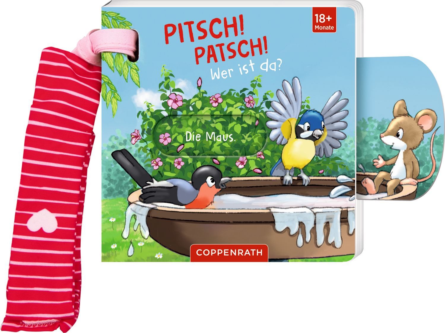 Mein Schieberbuch für den Buggy: Pitsch! Patsch! Wer ist da? / Antje Flad