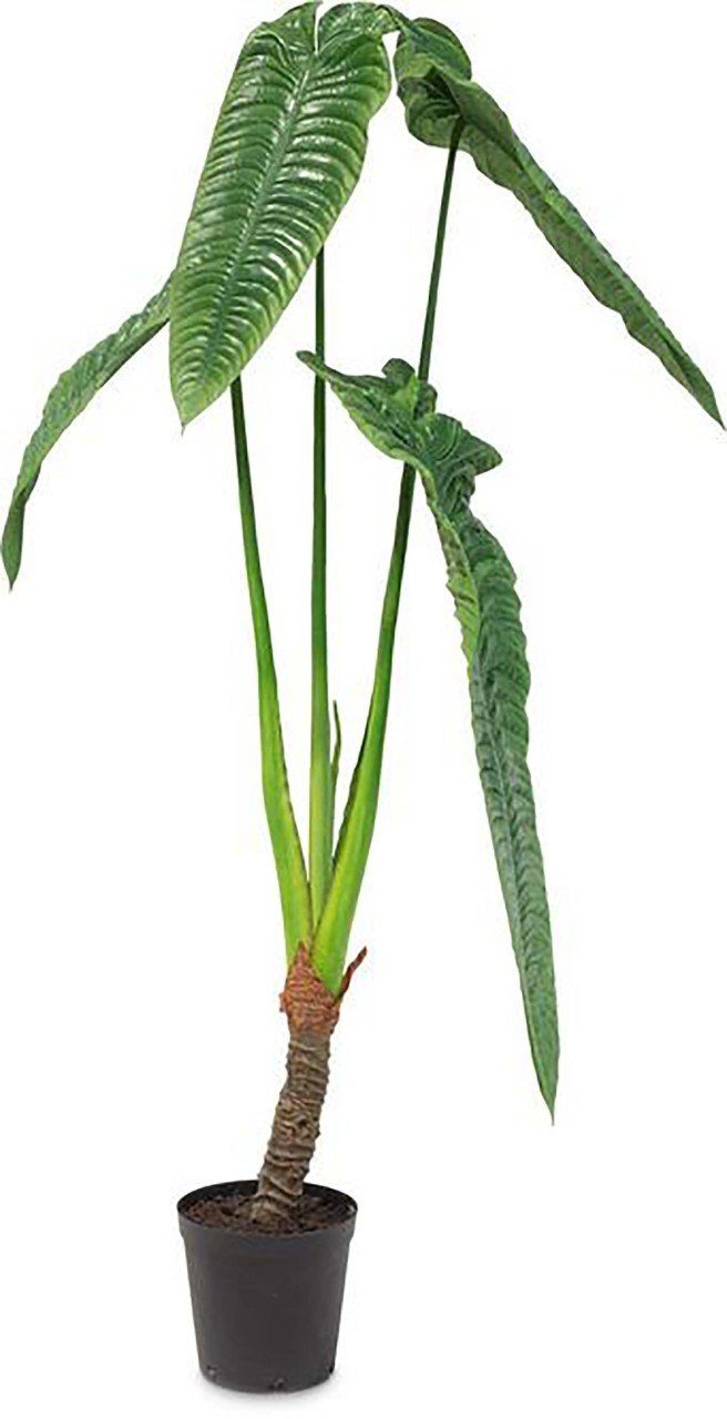 Kunstblume Kunstpflanze Alocasia Calidora, fleur ami