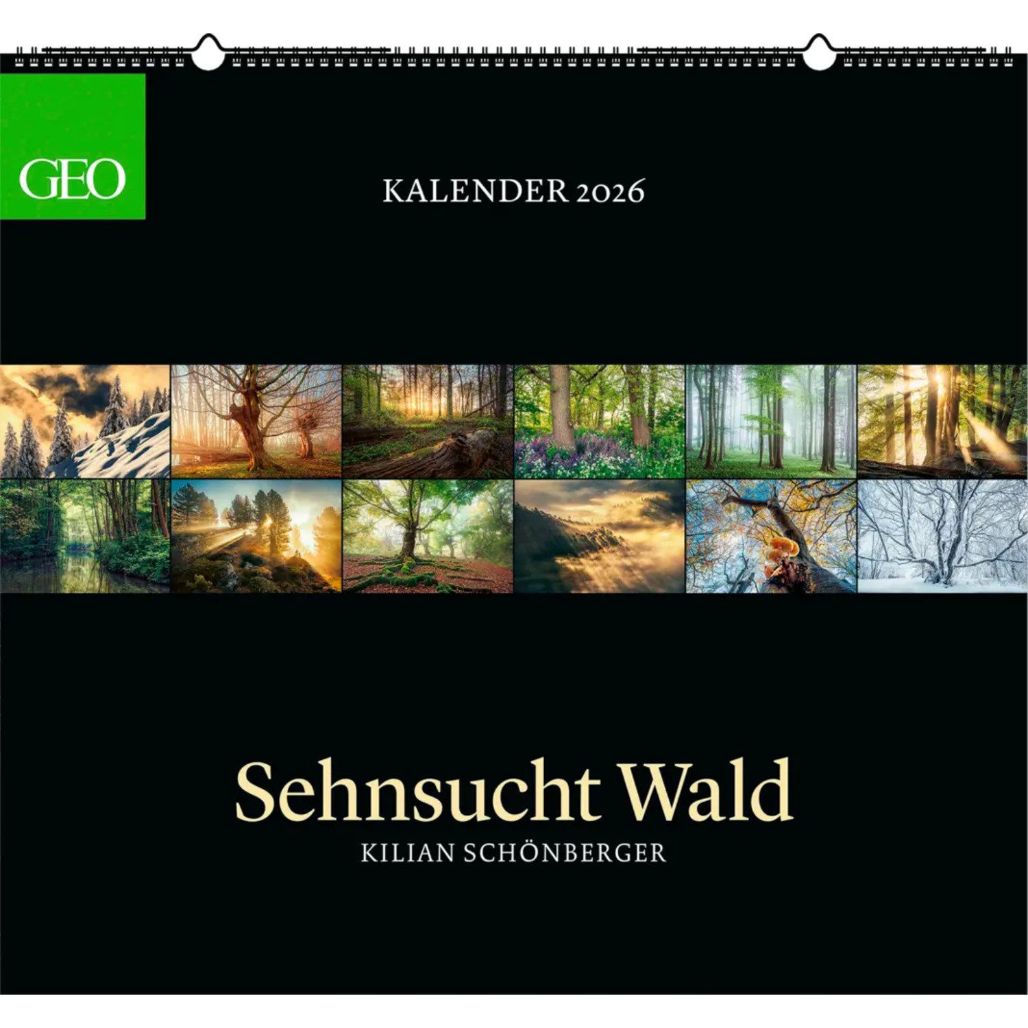 GEO Wandkalender GEO - Kalender: Sehnsucht Wald 2026 - Wandkalender 60x55 cm,...