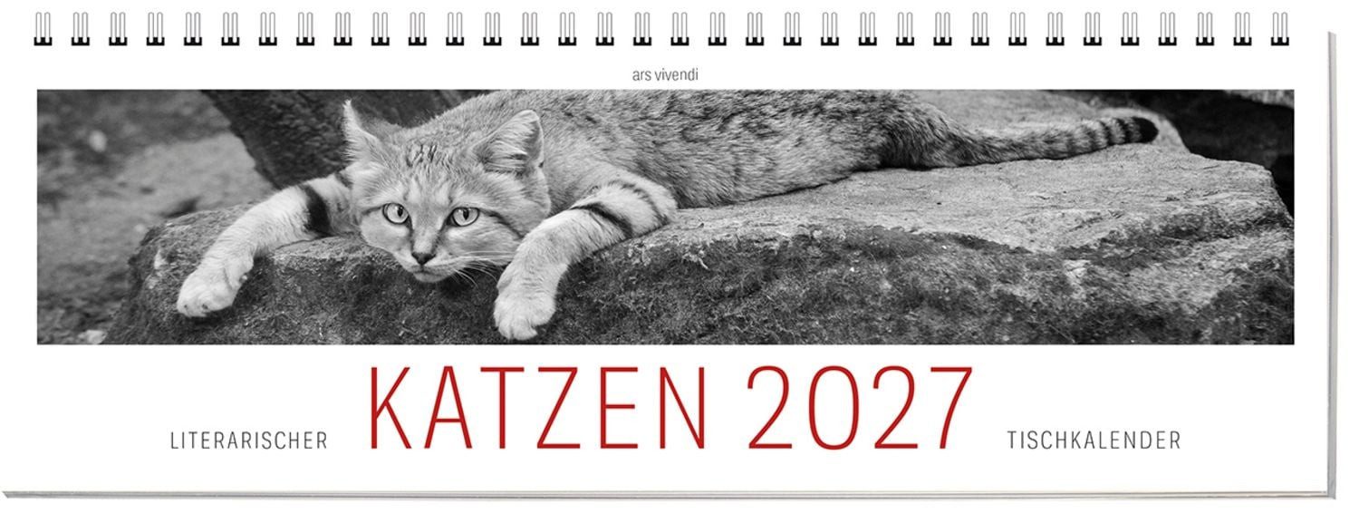 ars vivendi Tischkalender Tischkalender Katzen 2027