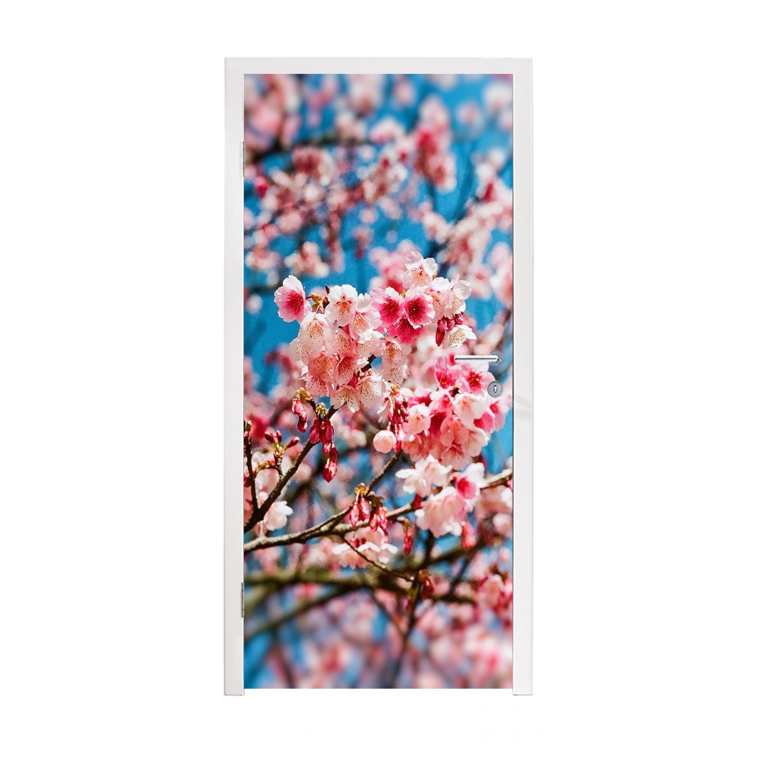 MuchoWow Türtapete Frühling - Sakura - Rosa, Matt, bedruckt, (1 St), Fototapete für Tür, Türaufkleber, 75x205 cm