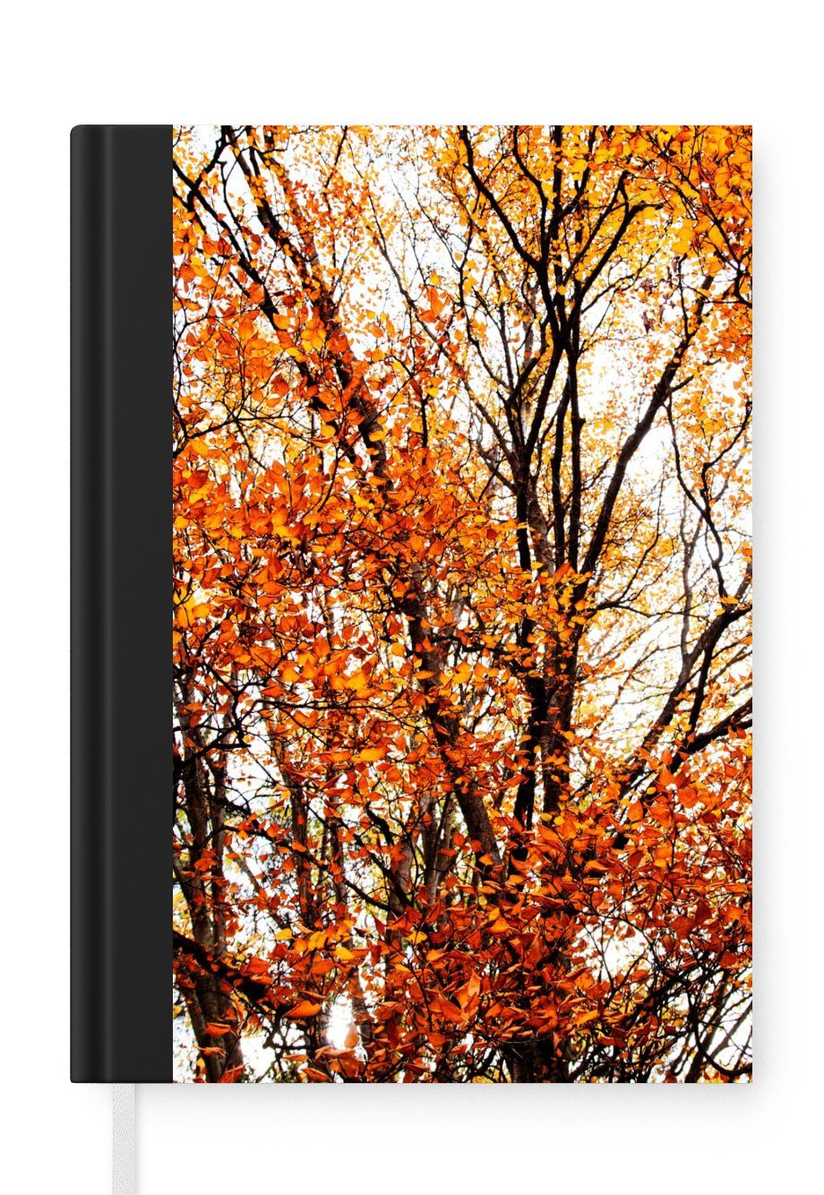 MuchoWow Notizbuch Wald - Herbst - Jahreszeiten, Journal, Merkzettel, Tagebuch, Notizheft, A5, 98 Seiten, Haushaltsbuch