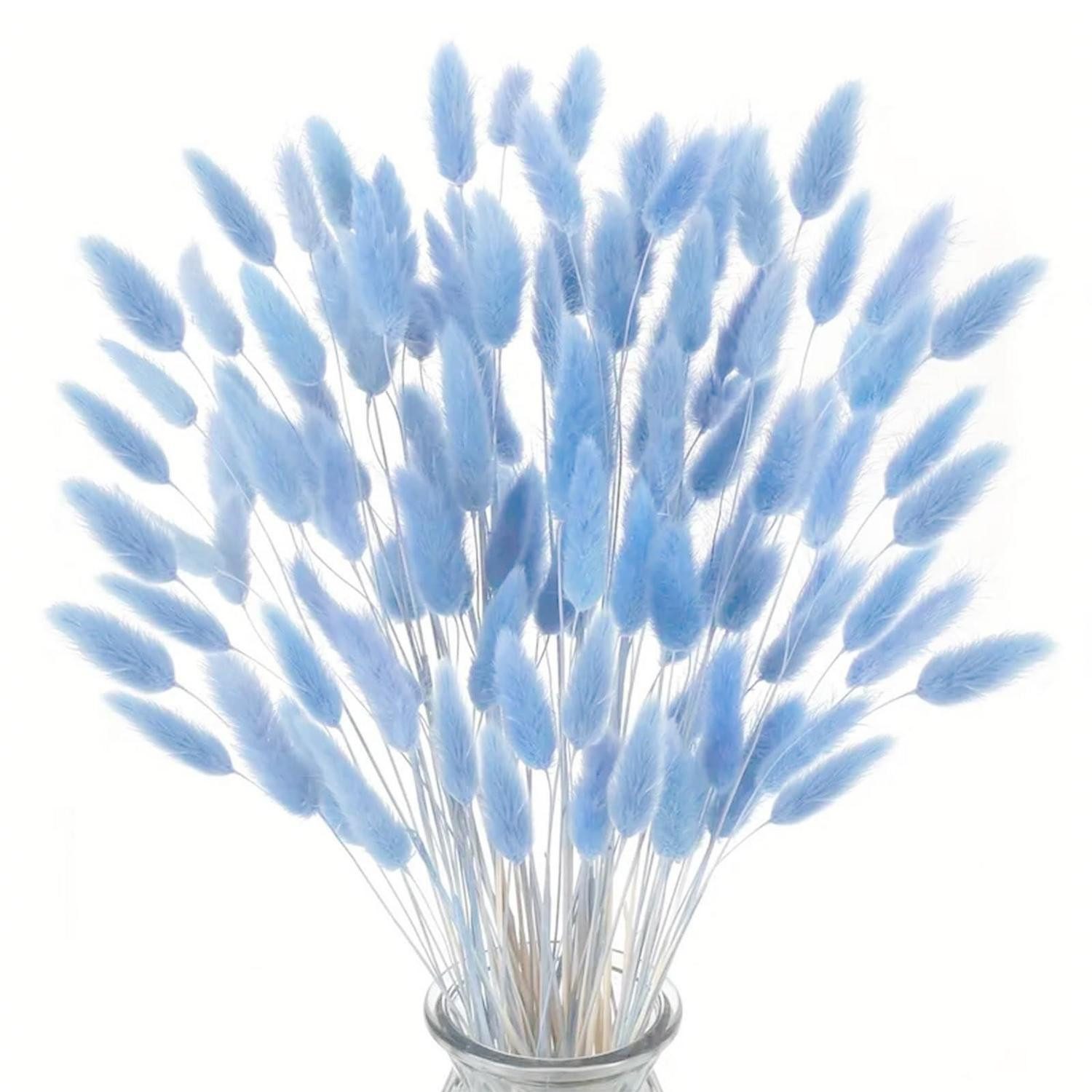 Trockenblume Pampasgras Deko Blau Getrocknet 120Stk, LuxusKollektion, Höhe 10 cm