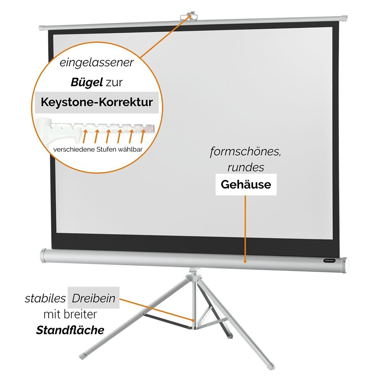 Celexon 1) (244 183cm, White Economy Stativleinwand Gain Edition 4:3, x