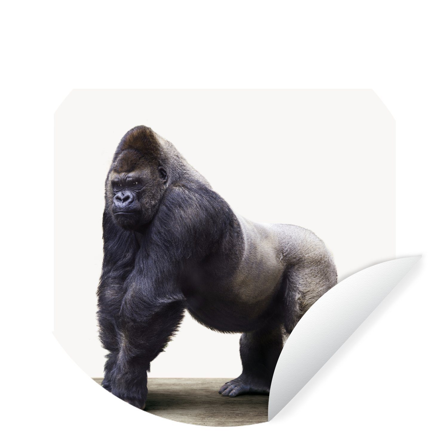 MuchoWow Wandsticker Tier - Gorilla - Affe (1 St), Tapetenkreis für Kinderzimmer, Tapetenaufkleber, Rund, Wohnzimmer