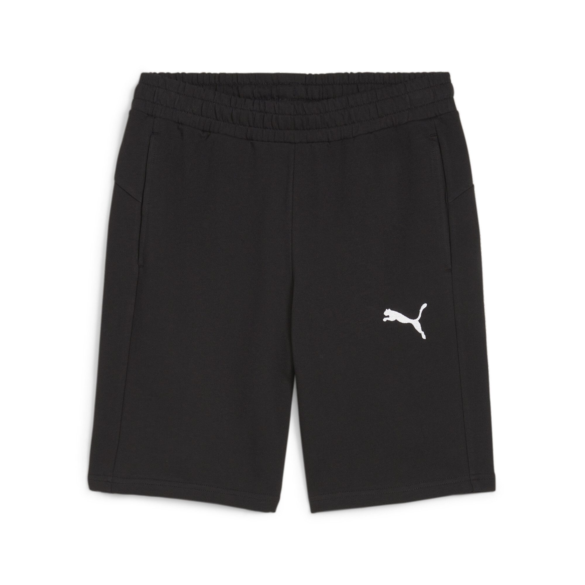 PUMA Shorts teamGOAL Casuals Shorts schwarz-blau-silber