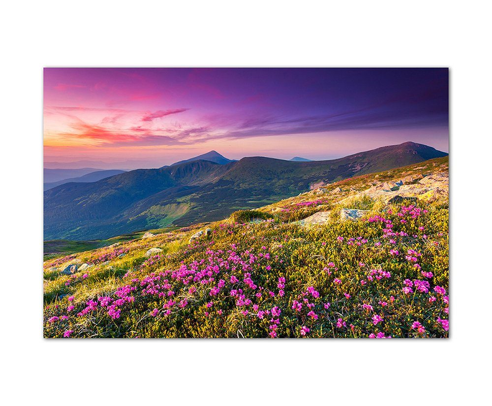 Leinwandbild 120x80cm Wiese Blumen Sommer Berge Landschaft